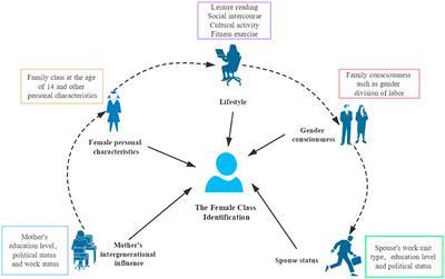 Frontiers What Dominates the Female Class Identification